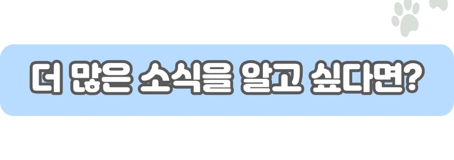 21.더많은소식.jpg