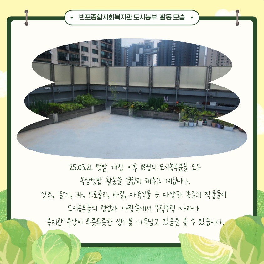 텃밭4.jpg