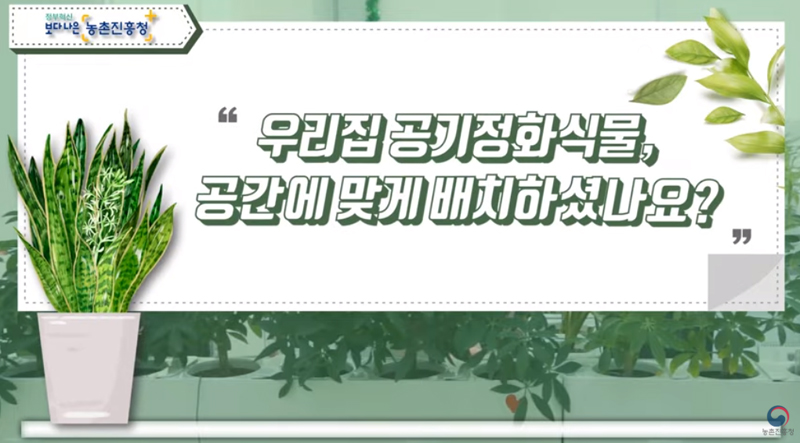 반포뉴스